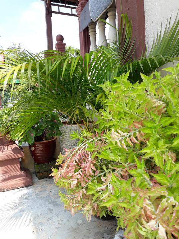 Hotel Teratak Opah Kamunting à Taiping Extérieur photo